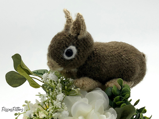 Bunny