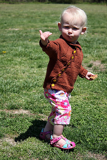 Crooked Sixpence Cardigan