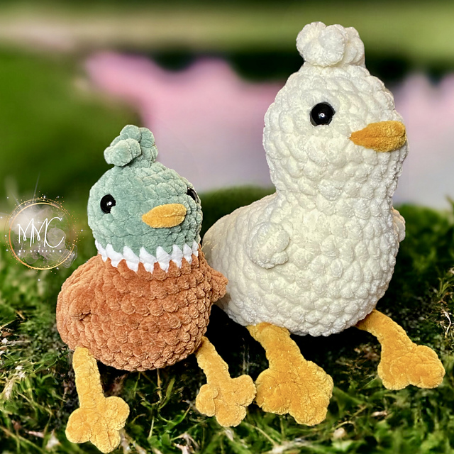 Leggy Duck