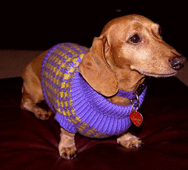 Houndstooth Hundestrickjacke
