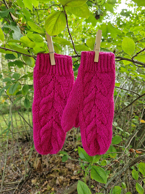 Mimosa pitsipalmikkolapaset
