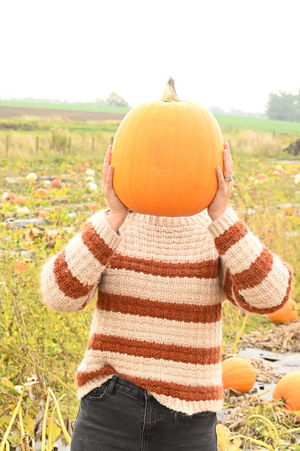 Pumpkin Spice Sweater