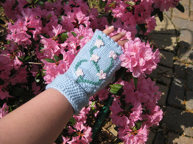 Cherry Blossom Season