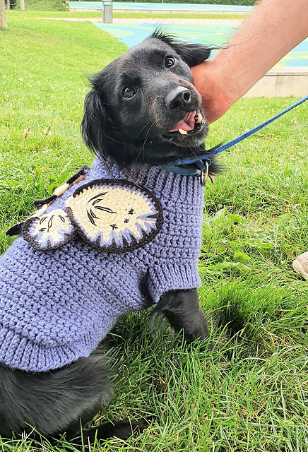 Dog sweater Nori + 3D applique
