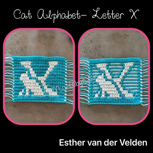 Cat Alphabet Letter X