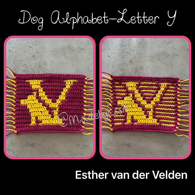 Dog Alphabet Letter Y