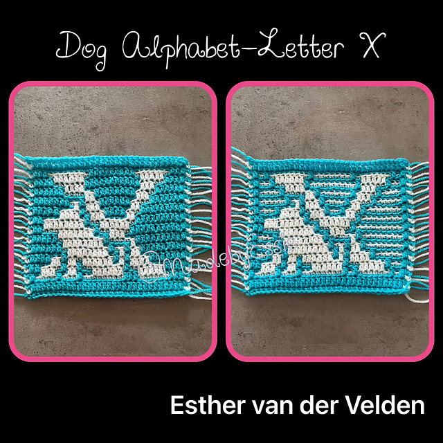 Dog Alphabet Letter X