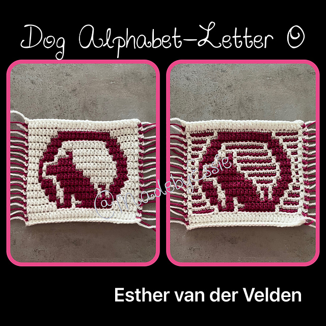 Dog Alphabet Letter O
