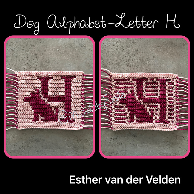 Dog Alphabet Letter H