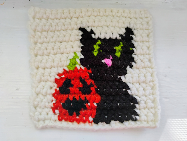 Cat Pumpkin coaster mug rug