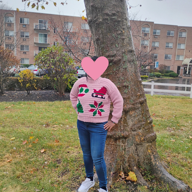 Crochet Christmas Sweater