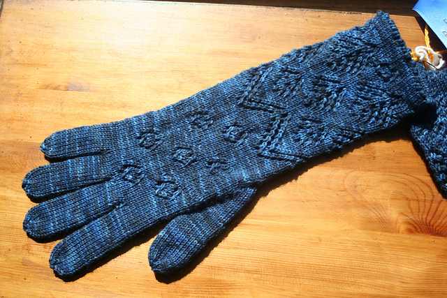 Starry Night Gloves