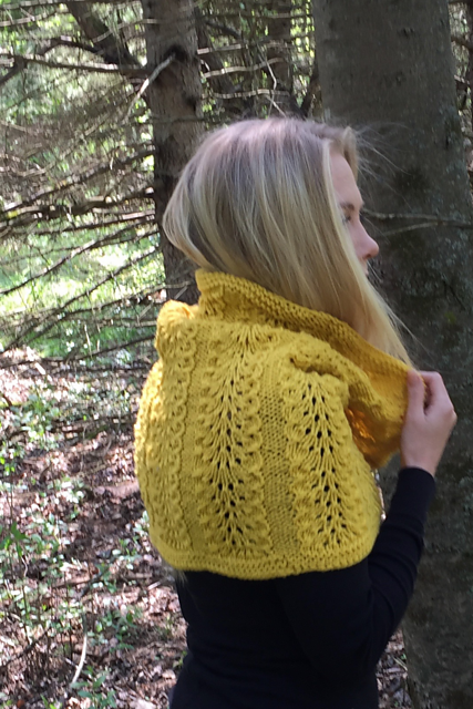 Plumed Cowl