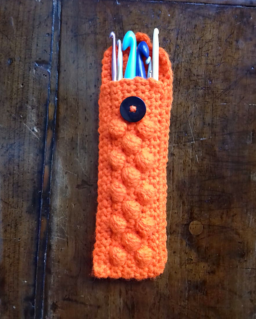 Bobbly Hook or Needle Case