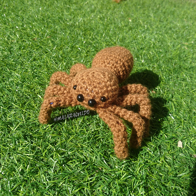 Araña Potona