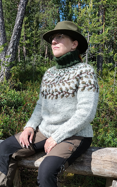 Skierri