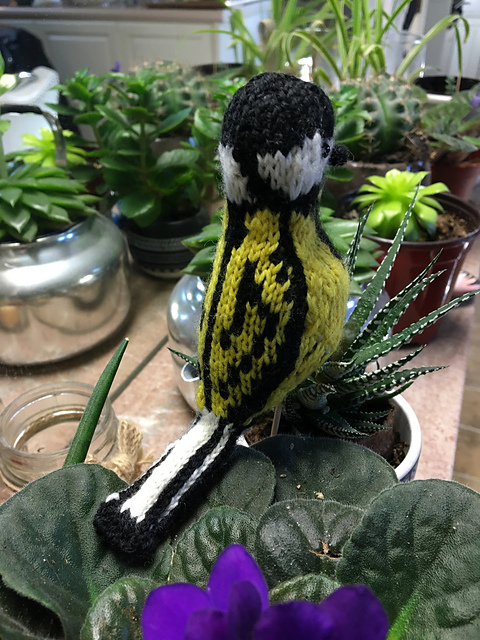Basic Pattern for Birds