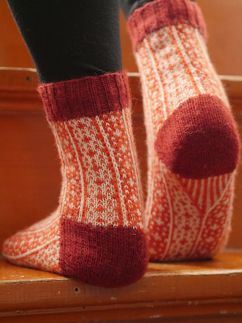 Nyponsocka
