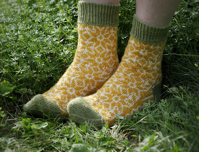 Höstblommor