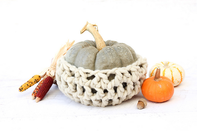 Fall Pumpkin Cozy