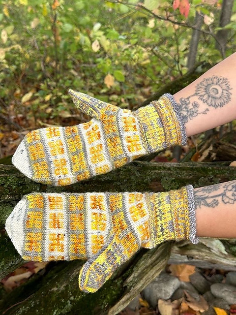 Paint Box Mittens