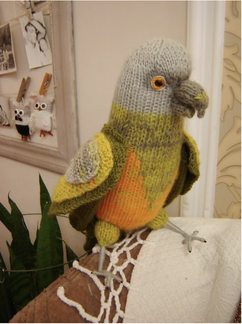 Knitted Senegal Parrot
