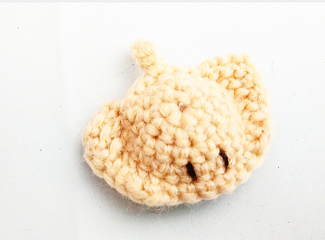Tiny Ray