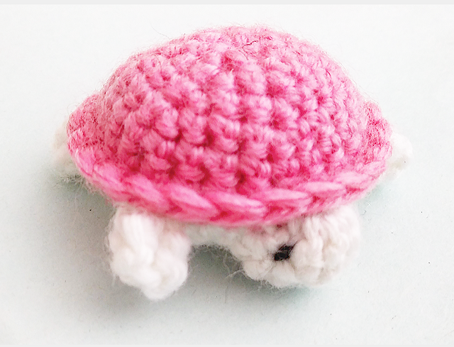 Tiny Turtle