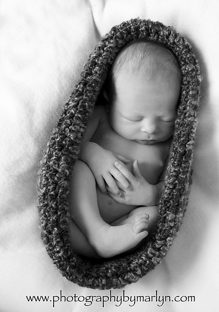 Egg Cocoon