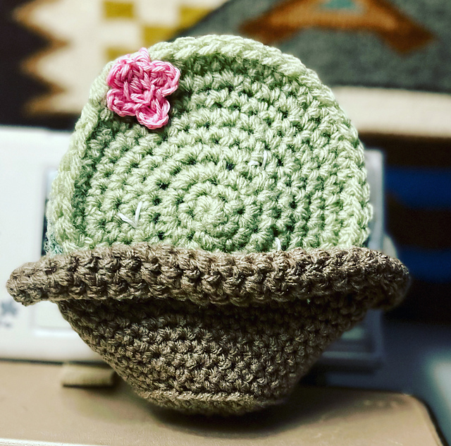 Coasters in Flower Pot