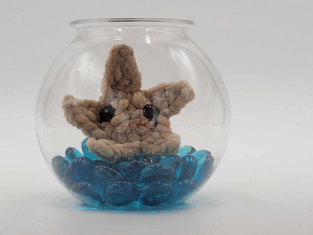 Starfish Bowl Buddy