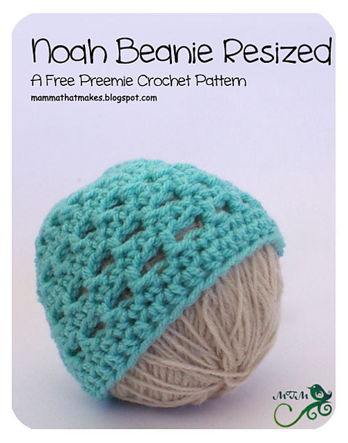 Noah Beanie