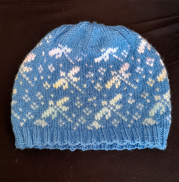 painted dragonflies hat