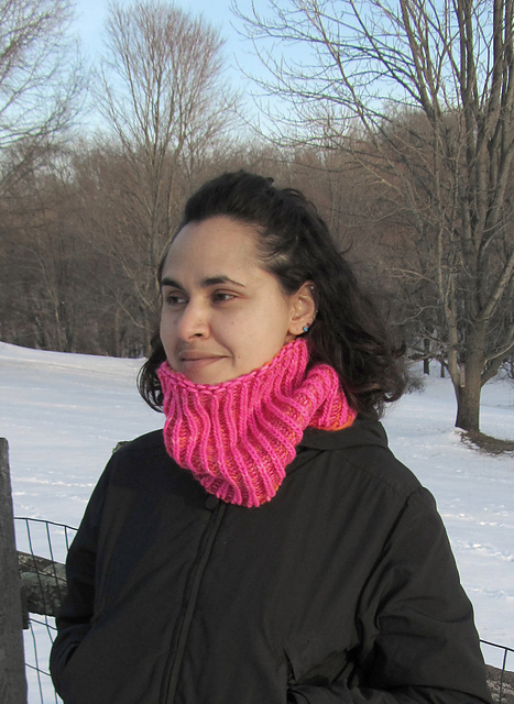 Electric Reversible Shaker Cowl