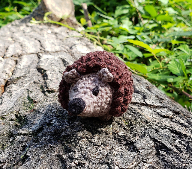 Humphrey the Hedgie