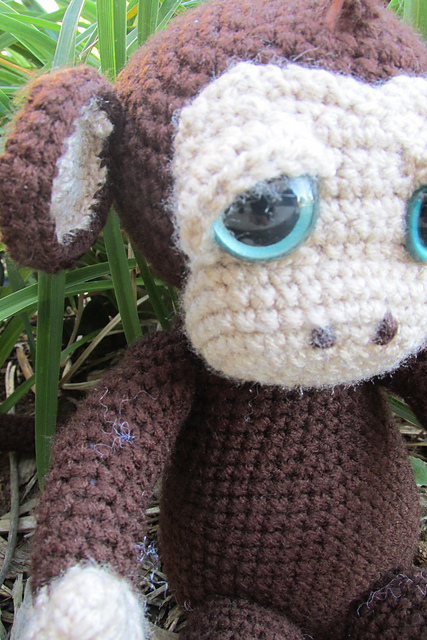 Sweet Little Monkey