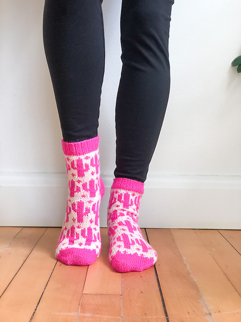 Saguaro Blossom Socks