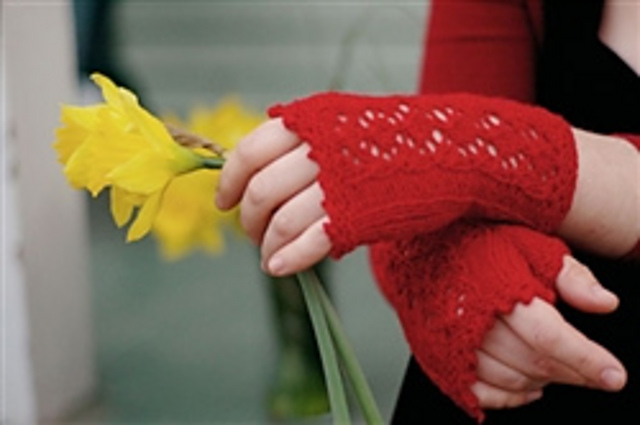 Stitch Red: Brocade Lace Mitts
