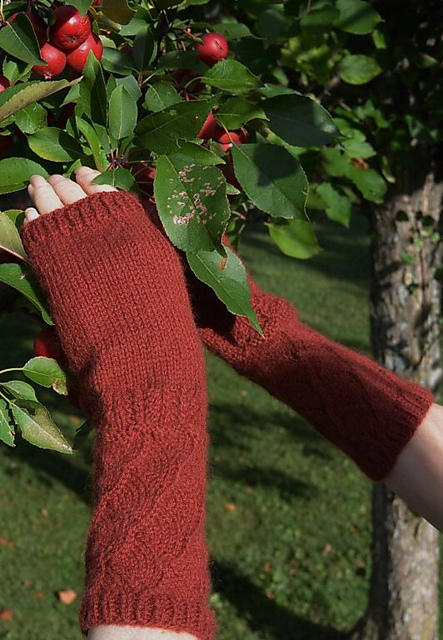 Rosetta Mitts