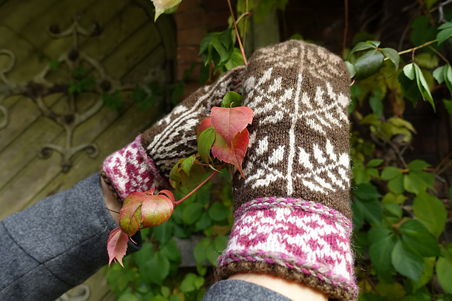 #44 Reynir mittens