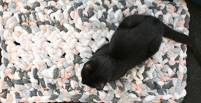 Accent or Pet Rug