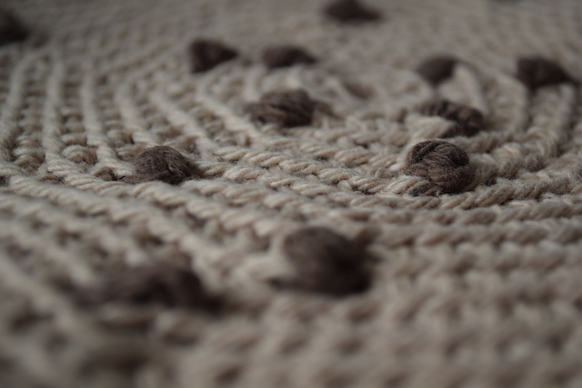 Chocolate Chip Cookie Hot Pad