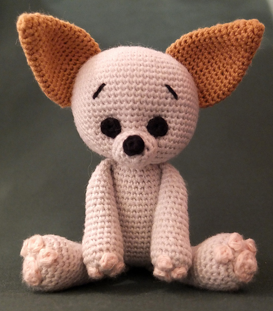 Joske Chihuahua