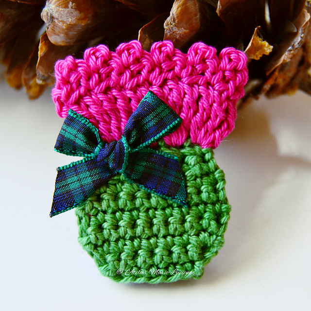 Little Thistle Flower