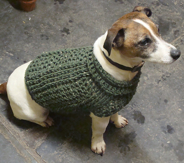 Rustic Aran Ribbed Dog Jumper