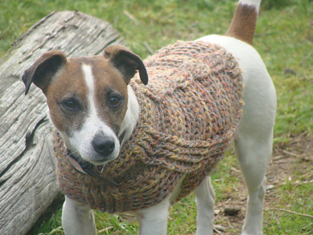 Ribbed Both Ways Small Dog Jumper
