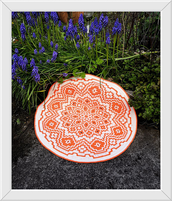 Blossoming Orange