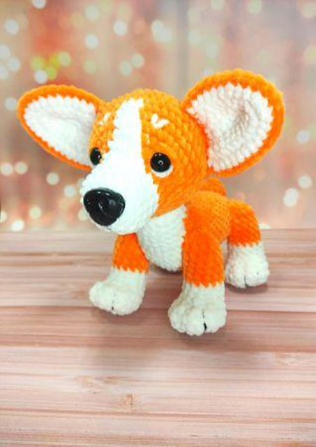 Dog corgi