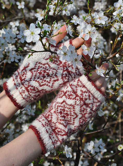 Springtime Mittens