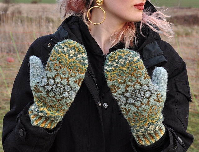Helleborus Mittens